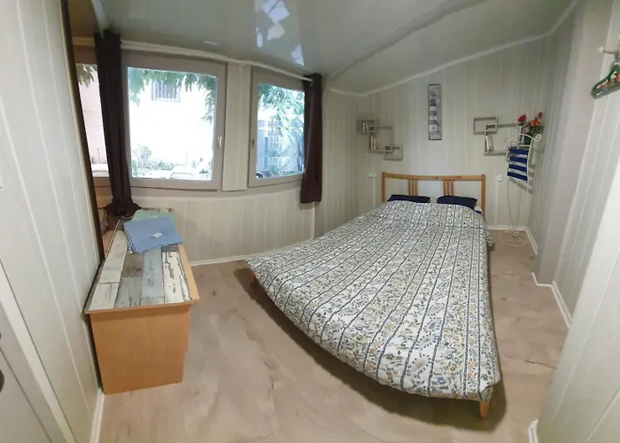 Clematisso Lucciana (Corsica)