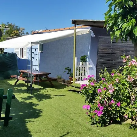 Vandrerhjem Clematisso *